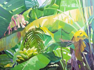 Gekko da William Ireland